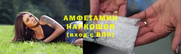 сатива Волоколамск